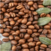 Coffee Cate 03 (180x180)