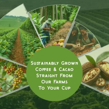 banner agro01